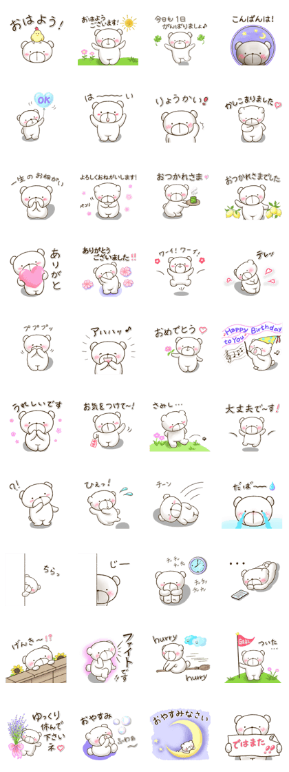 Shy bear/Basic