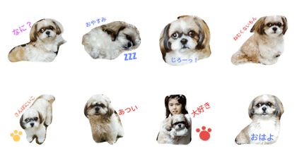 momo no stamp