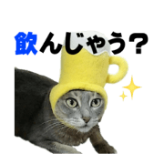 Daily Sticker of healed pets3