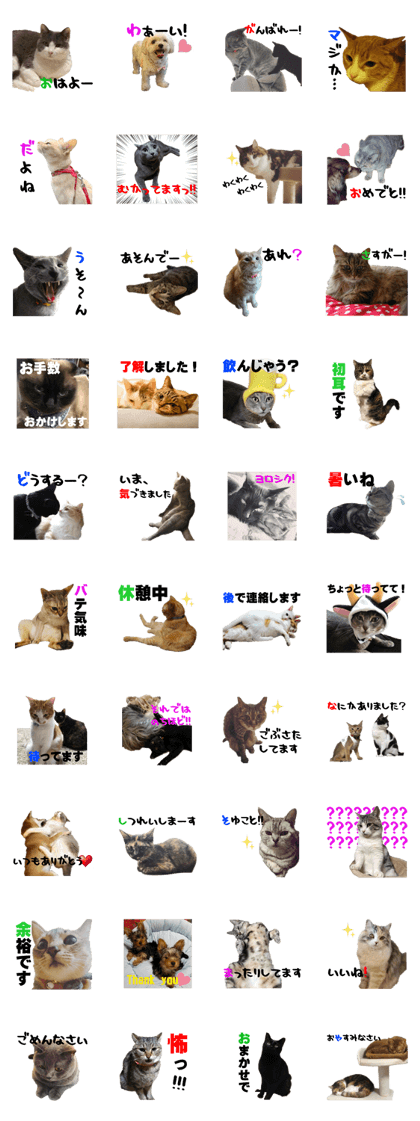 Daily Sticker of healed pets3
