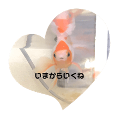 Nagisa_20210405175618