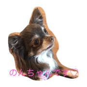 wankonon