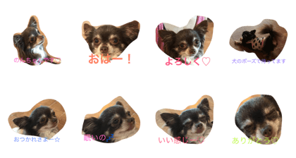 wankonon
