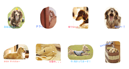 LEO&NANA stamp 2
