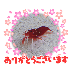 魚リアクションスタンプ３