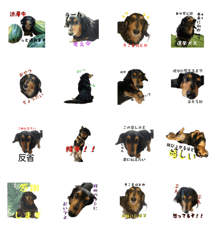 Sticker of a Dachshund difficult to use
