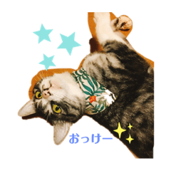 sanae_20210405185712