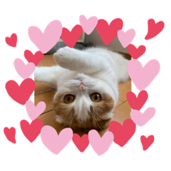 AKIKO_20210405214604