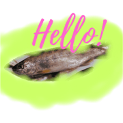 Real fishes/Greetings