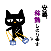 Black cat "Ando"