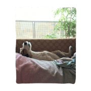 SHOUSUKE