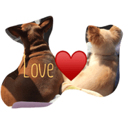 dog heart