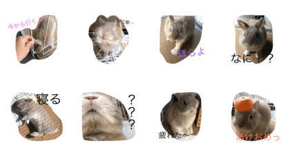 real Konemaru