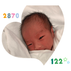shoma122