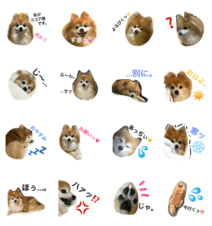 pomeranian COCOA's STAMP
