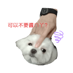 球哥...永遠的小惡魔