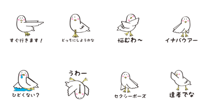 Happy White Bird