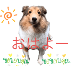 miki_20210405231306