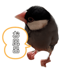 Ponzu_20210405222310
