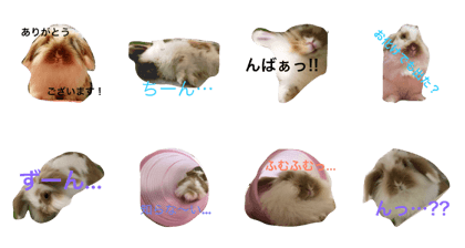 FUKU USAGI 2