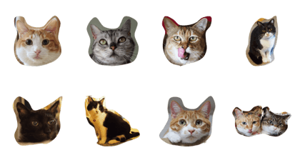 9cats!