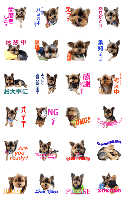 Yorkshireterrier's Sticker