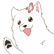 Samoyed Smile