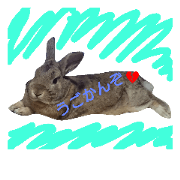momitanRabbit