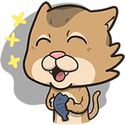 Coki