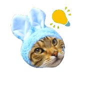 cat name is maro animal version