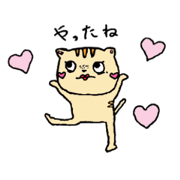 A tabby " Myai-chan "