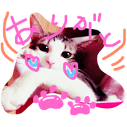 catstamp please use it.