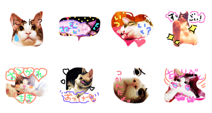 catstamp please use it.