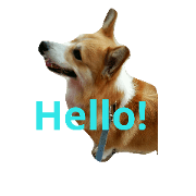Corgi's Jack vol.1