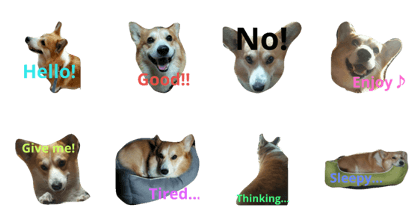 Corgi's Jack vol.1