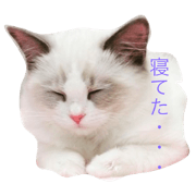 Fuwary sticker