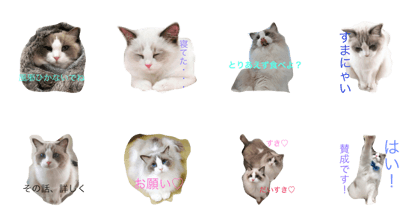 Fuwary sticker