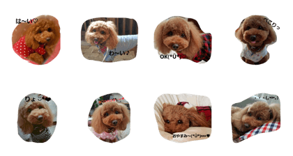 hanapoo