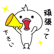A little bird supports a diet