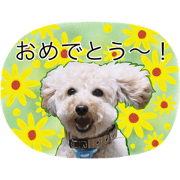 teku-teku Chacha2