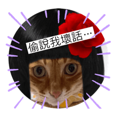 小胖花厭世生活