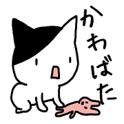 I'm Kawabata