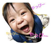 kattistamp