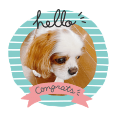 natsumi_20210406134929