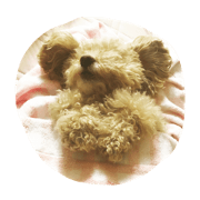 mugicyon
