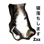 Cat an intention