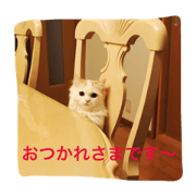 Stamp of a cat usable in various ways !