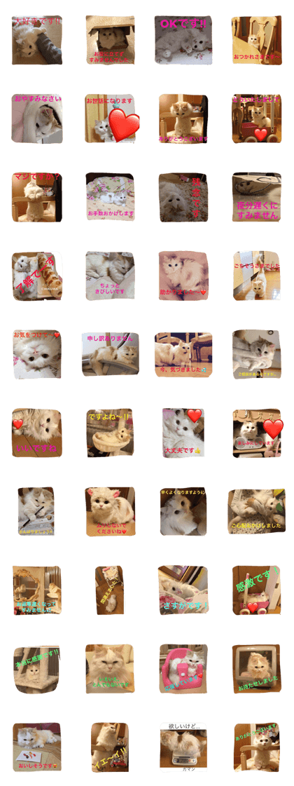 Stamp of a cat usable in various ways !
