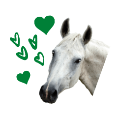 Stickers For Horse Lovers