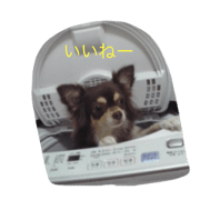 wanwan1